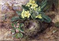 Still Life with Primroses and Birds Nest - George Clare