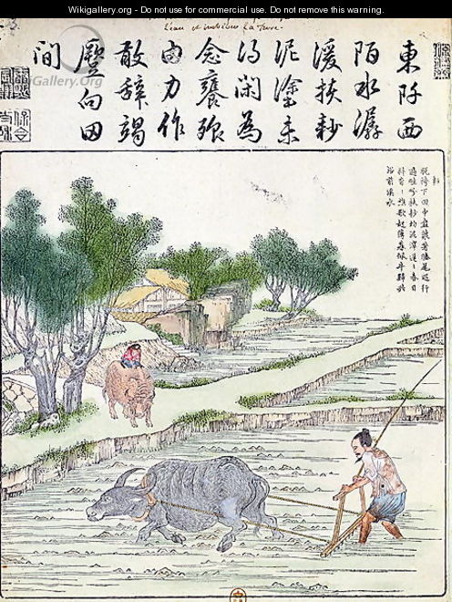 Rice cultivation in China (2) - Anonymous Artist