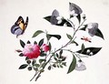 Flower Study and Insects (2) - Anonymous Artist