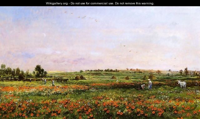 Fields in the Month of June - Charles-Francois Daubigny