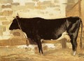 Cow in a Stable - Jean-Baptiste-Camille Corot