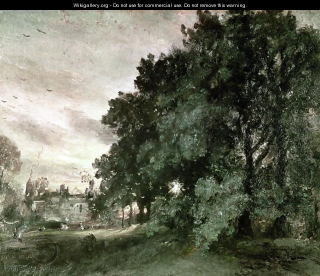 Study of Trees - John Constable