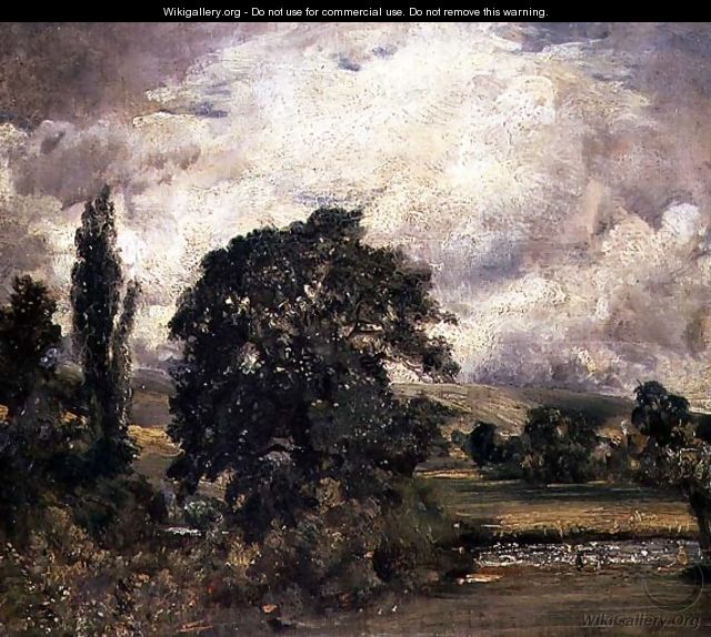 Water Meadows Near Salisbury - John Constable