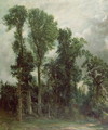 Trees at Hampstead - John Constable