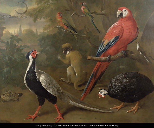 Pheasant, Macaw, Monkey, Parrots and Tortoise - Charles Collins