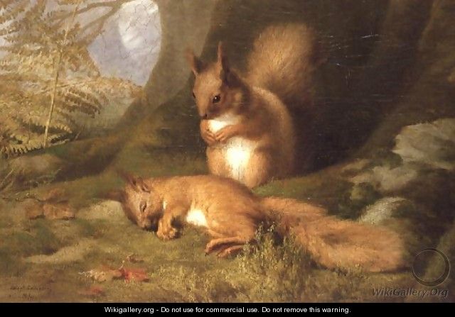 Squirrels in a Wood - Robert Collinson