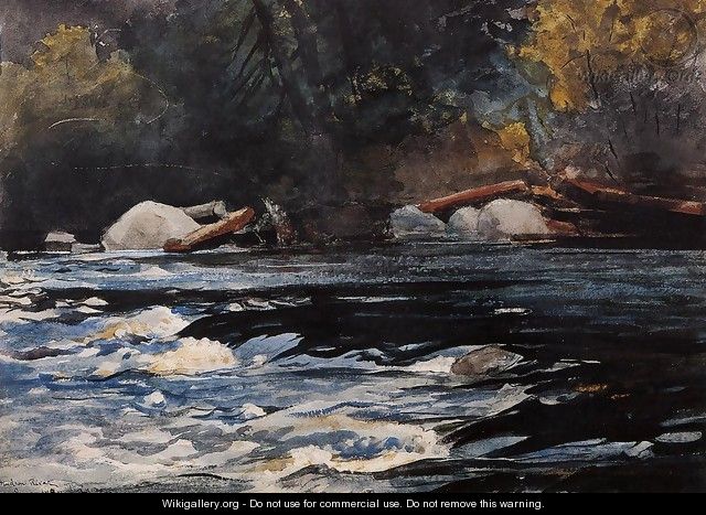 The Rapids, Husdon River, Adirondacks - Winslow Homer