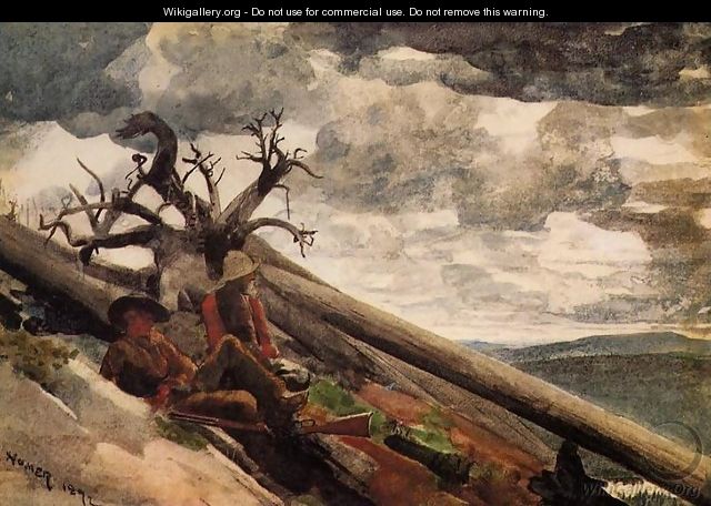 Burnt Mountain - Winslow Homer