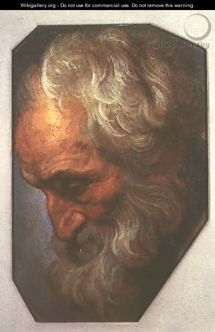 Head of an Apostle - Gaspard de Crayer