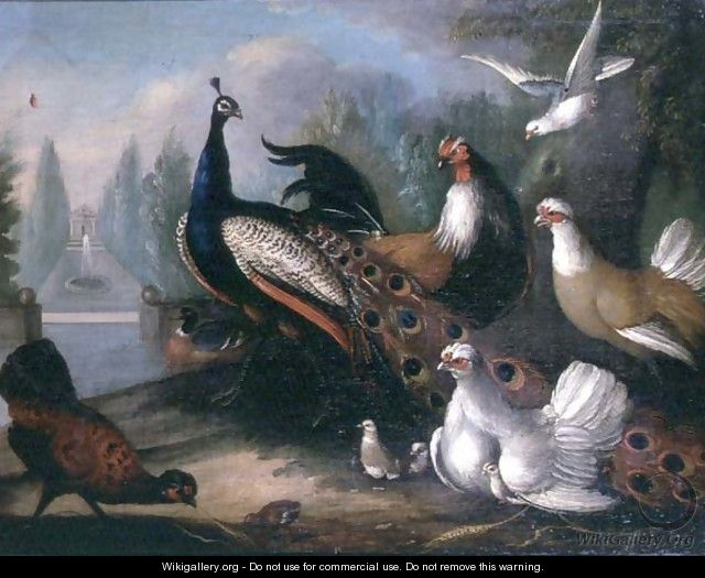 Ornamental Fowl - Marmaduke Craddock