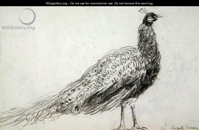 Peacock at Capel Curig, c.1845 - David Cox