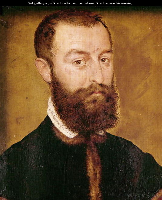 Portrait of a Man with a Beard or, Portrait of a Man with Brown Hair - Corneille De Lyon