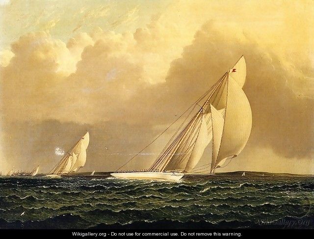 Yacht Race in New York Harbor - James E. Buttersworth