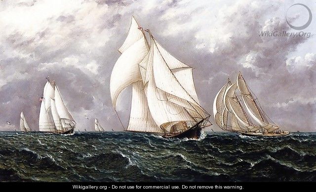The Yacht Race - James E. Buttersworth