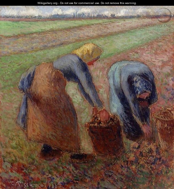 Potato Harvest - Camille Pissarro