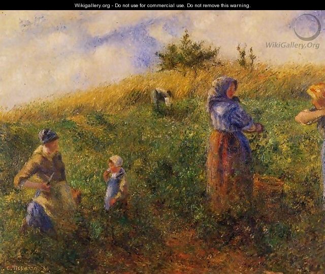 Picking Peas - Camille Pissarro