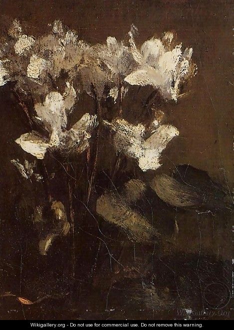 Flowers, Cyclamens - Ignace Henri Jean Fantin-Latour