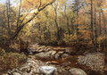 Brook in Autumn, Keene Valley, Adirondacks - John Lee Fitch
