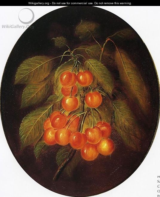 Cherries - Sarah Miriam Peale