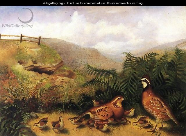 Landscape with Quail - Cock, Hen and Chickens - Rubens Peale