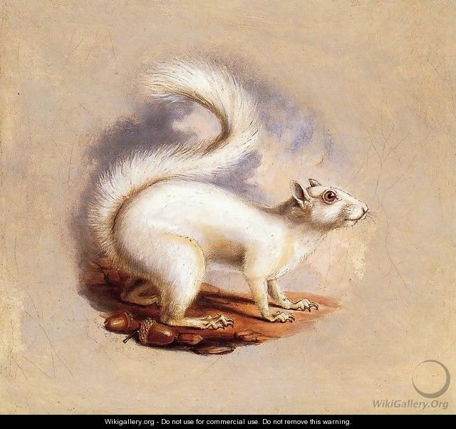 White Squirrel - Titian Ramsay Peale