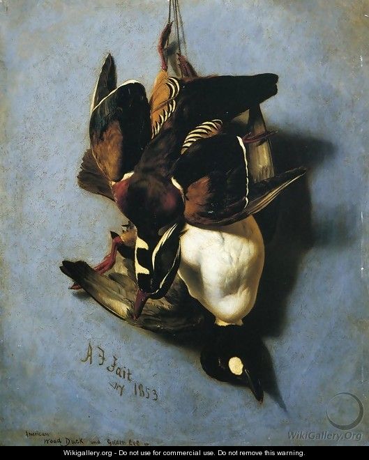 American Wood Duck and Golden Eye - Arthur Fitzwilliam Tait