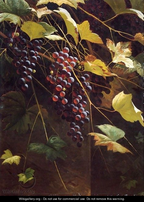 Wild Grapes - Andrew John Henry Way