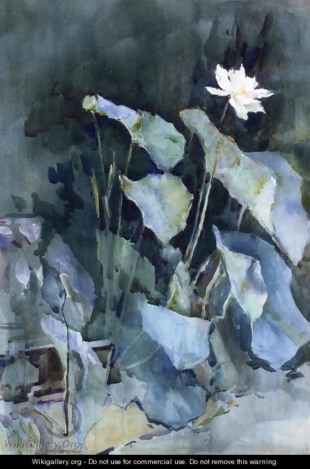 White Lotus - Ralph Wormsley Curtis