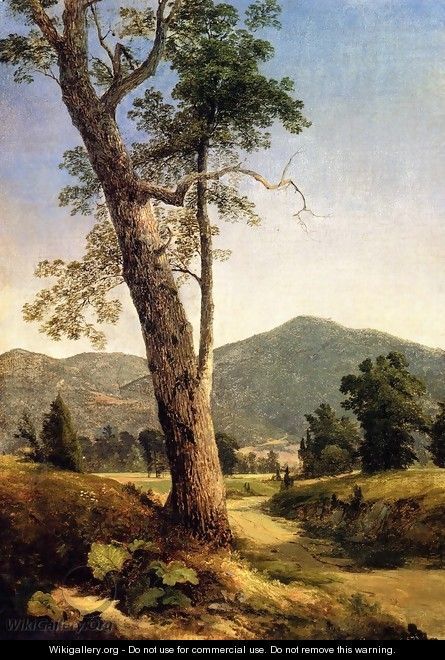 Landscape Beyond the Tree - Asher Brown Durand