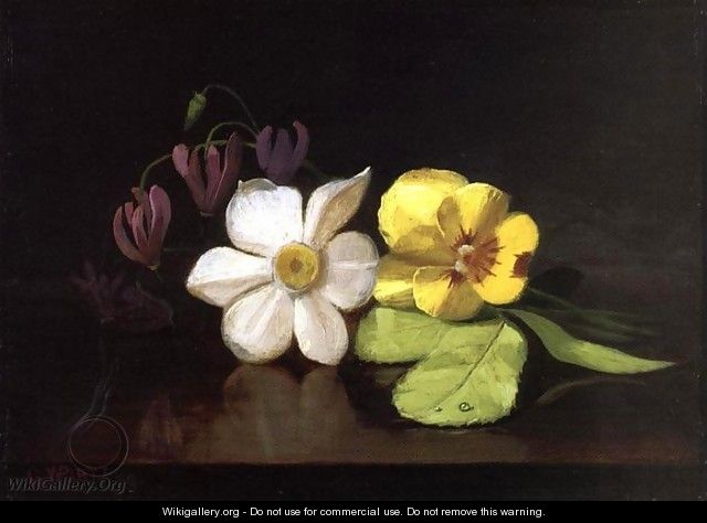 Still Life: A Handful of Flowers - George W. Platt