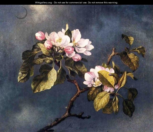Apple Blossoms 2 - Martin Johnson Heade