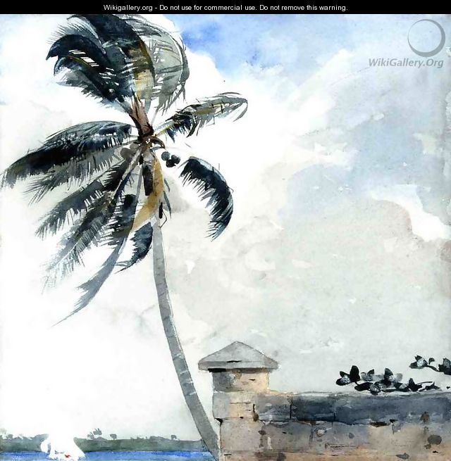 A Tropical Breeze, Nassau - Winslow Homer