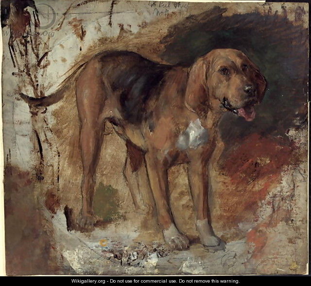 Study of a Bloodhound - William Holman Hunt