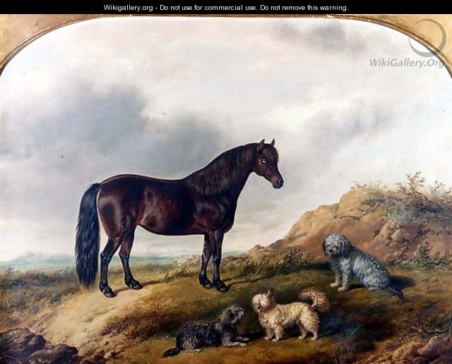 A Pony and three Terriers in a landscape - G. Jackson
