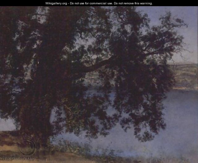 Tree in the Shade above the Water near Castel Gandolfo - Alexander Ivanov