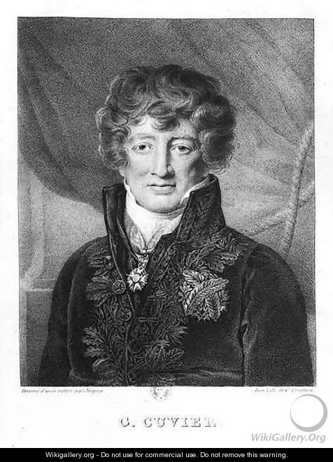 Portrait of Georges Cuvier 1769-1832 - (after) Jacques