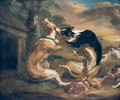 The Dog Fight - Juriaen Jacobsz