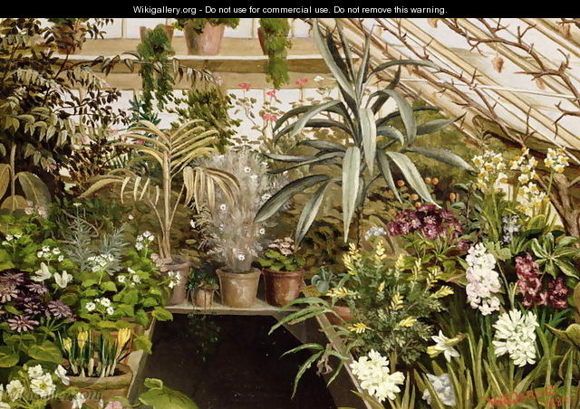 The Conservatory - W.C. Jarvis