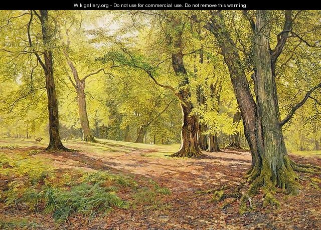 In the Beechwoods - William Samuel Jay
