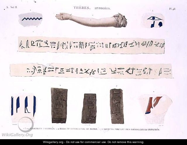 Illustrations of Hieroglyphics and the arm of a mummy from Hypogees - (after) Jomard