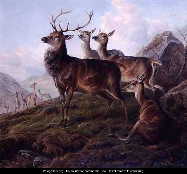 Red Deer in a Highland Landscape - Charles Jones