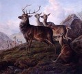 Red Deer in a Highland Landscape - Charles Jones