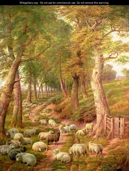 Landscape with Sheep - Charles Jones