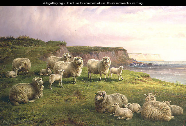 Sheep on a Dorset Coast - Charles Jones