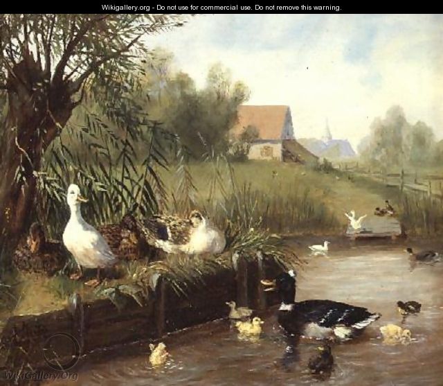 Ducks on the River Bank - Carl Jutz