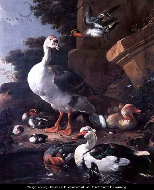 Waterfowl in a classical landscape - Melchior de Hondecoeter