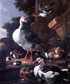 Waterfowl in a classical landscape - Melchior de Hondecoeter