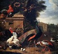 A Peacock a Hawk and Various Fowl and Ducks in a Park - Melchior de Hondecoeter
