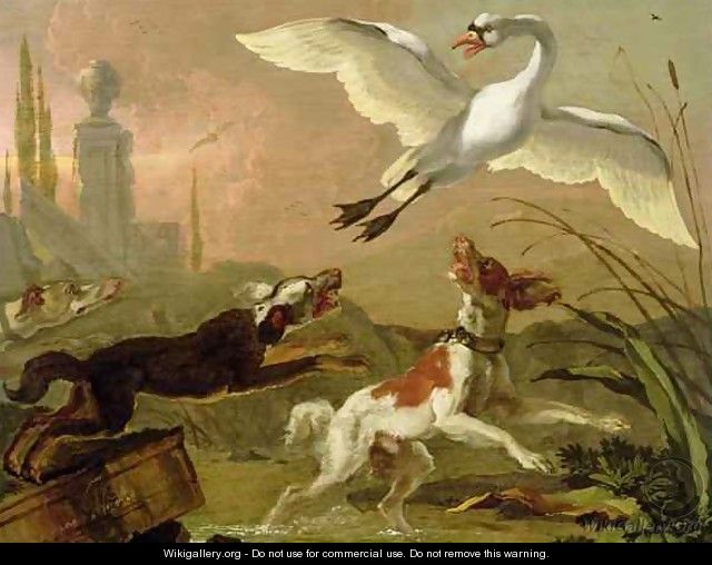 Swan being chased by three dogs - Abraham Danielsz Hondius