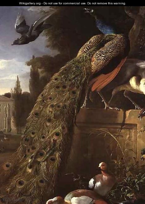 Peacock and a Peahen on a Plinth with Ducks and Other Birds in a Park - Melchior de Hondecoeter